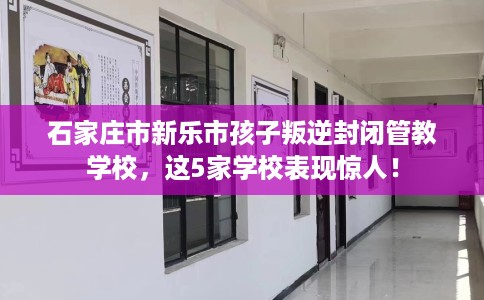 石家庄市新乐市孩子叛逆封闭管教学校，这5家学校表现惊人！