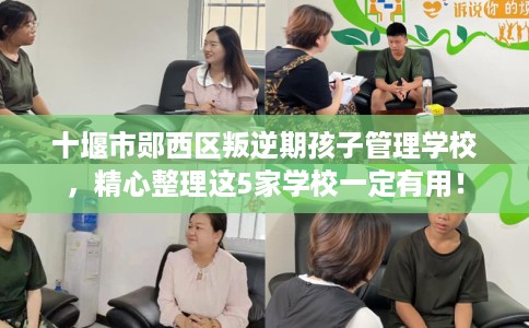 十堰市郧西区叛逆期孩子管理学校，精心整理这5家学校一定有用！