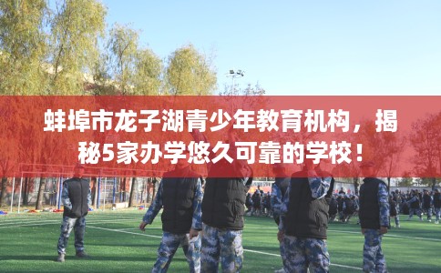 蚌埠市龙子湖青少年教育机构,揭秘5家办学悠久可靠的学校! 蚌埠市龙子湖青少年教育机构,揭秘5家办学悠久可靠的学校!