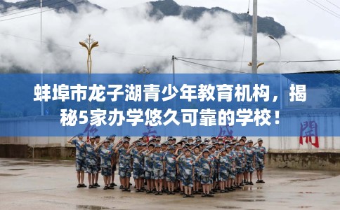 蚌埠市龙子湖青少年教育机构,揭秘5家办学悠久可靠的学校! 蚌埠市龙子湖青少年教育机构,揭秘5家办学悠久可靠的学校!