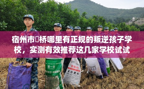 宿州市埇桥哪里有正规的叛逆孩子学校,实测有效推荐这几家学校试试看! 宿州市埇桥哪里有正规的叛逆孩子学校,实测有效推荐这几家学校试试看!