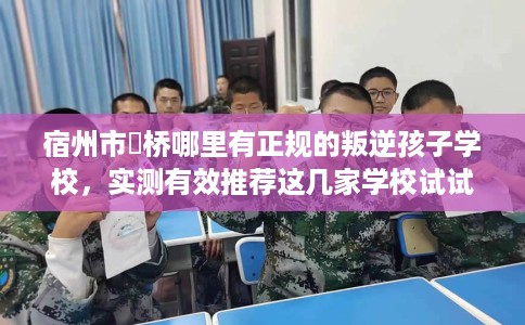 宿州市埇桥哪里有正规的叛逆孩子学校,实测有效推荐这几家学校试试看! 宿州市埇桥哪里有正规的叛逆孩子学校,实测有效推荐这几家学校试试看!