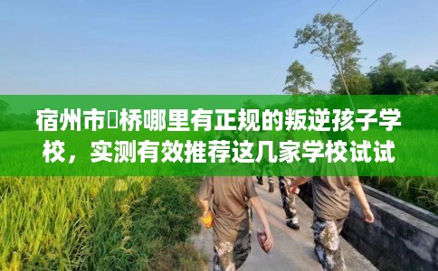 宿州市埇桥哪里有正规的叛逆孩子学校,实测有效推荐这几家学校试试看! 宿州市埇桥哪里有正规的叛逆孩子学校,实测有效推荐这几家学校试试看!