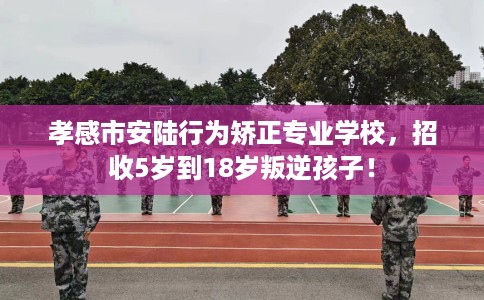 孝感市安陆行为矫正专业学校，招收5岁到18岁叛逆孩子！