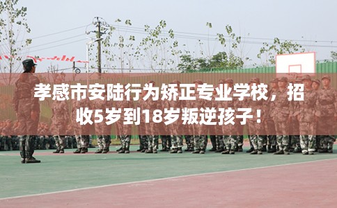 孝感市安陆行为矫正专业学校，招收5岁到18岁叛逆孩子！