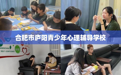 合肥市庐阳青少年心理辅导学校