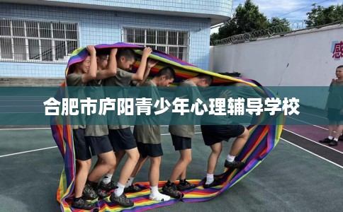 合肥市庐阳青少年心理辅导学校