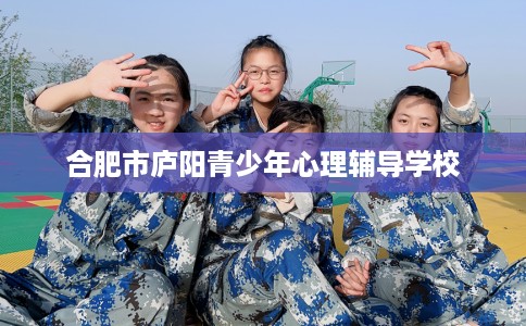 合肥市庐阳青少年心理辅导学校
