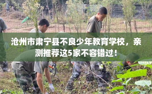 沧州市肃宁县不良少年教育学校，亲测推荐这5家不容错过！