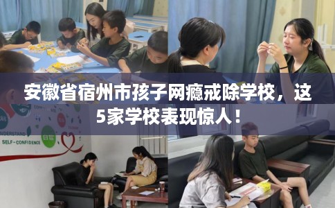 安徽省宿州市孩子网瘾戒除学校，这5家学校表现惊人！