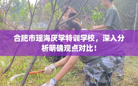 合肥市瑶海厌学特训学校，深入分析明确观点对比！