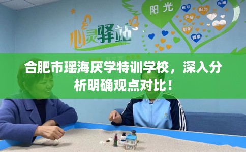 合肥市瑶海厌学特训学校，深入分析明确观点对比！