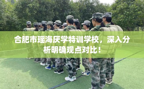 合肥市瑶海厌学特训学校，深入分析明确观点对比！
