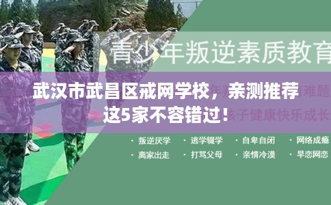 武汉市武昌区戒网学校,亲测推荐这5家不容错过! 武汉市武昌区戒网学校,亲测推荐这5家不容错过!