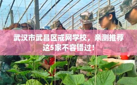 武汉市武昌区戒网学校,亲测推荐这5家不容错过! 武汉市武昌区戒网学校,亲测推荐这5家不容错过!