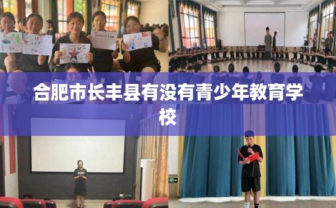 合肥市长丰县有没有青少年教育学校 合肥市长丰县有没有青少年教育学校