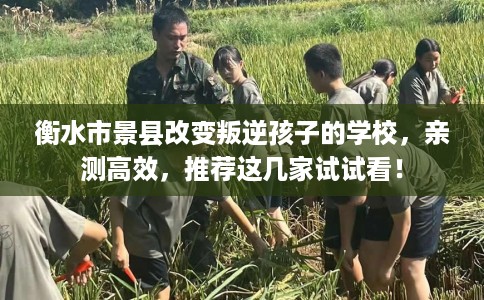 衡水市景县改变叛逆孩子的学校,亲测高效,推荐这几家试试看! 衡水市景县改变叛逆孩子的学校,亲测高效,推荐这几家试试看!