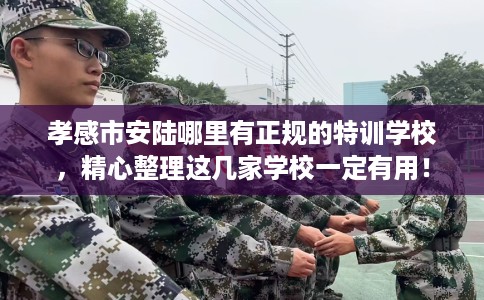 孝感市安陆哪里有正规的特训学校,精心整理这几家学校一定有用! 孝感市安陆哪里有正规的特训学校,精心整理这几家学校一定有用!
