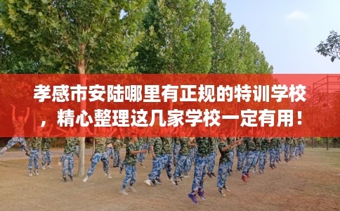 孝感市安陆哪里有正规的特训学校,精心整理这几家学校一定有用! 孝感市安陆哪里有正规的特训学校,精心整理这几家学校一定有用!