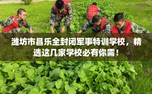 潍坊市昌乐全封闭军事特训学校，精选这几家学校必有你需！