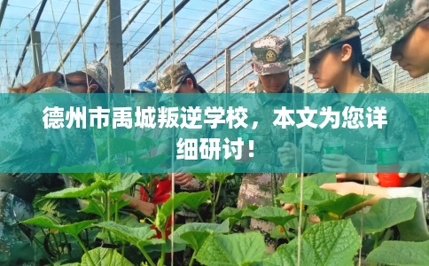 德州市禹城叛逆学校，本文为您详细研讨！