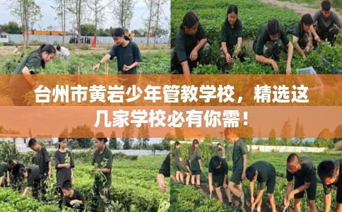 台州市黄岩少年管教学校，精选这几家学校必有你需！