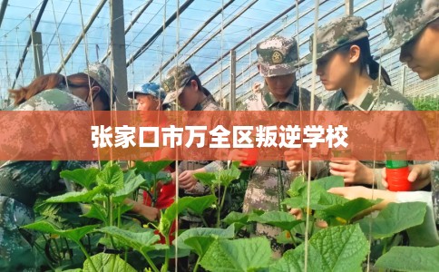 张家口市万全区叛逆学校