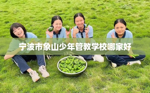 宁波市象山少年管教学校哪家好