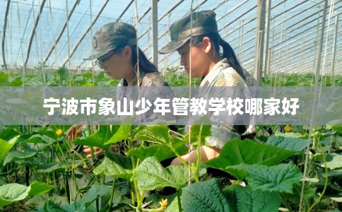 宁波市象山少年管教学校哪家好