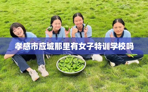 孝感市应城那里有女子特训学校吗