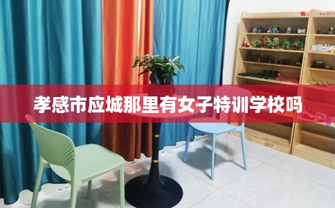 孝感市应城那里有女子特训学校吗