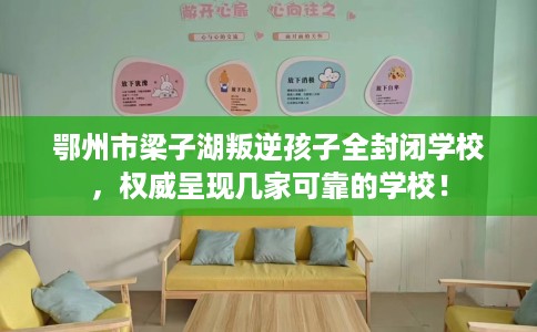 鄂州市梁子湖叛逆孩子全封闭学校，权威呈现几家可靠的学校！