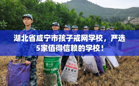 湖北省咸宁市孩子戒网学校,严选5家值得信赖的学校! 湖北省咸宁市孩子戒网学校,严选5家值得信赖的学校!