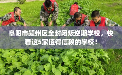 阜阳市颍州区全封闭叛逆期学校，快看这5家值得信赖的学校！