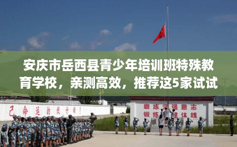 安庆市岳西县青少年培训班特殊教育学校，亲测高效，推荐这5家试试看！