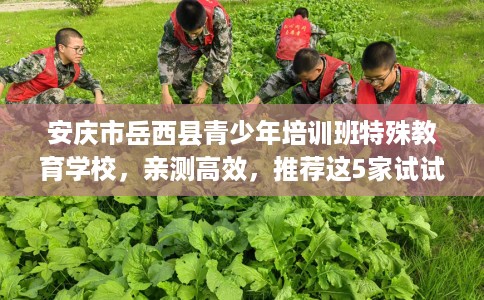 安庆市岳西县青少年培训班特殊教育学校，亲测高效，推荐这5家试试看！