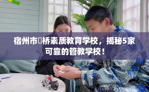 宿州市埇桥素质教育学校，揭秘5家可靠的管教学校！