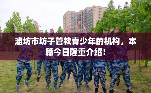 潍坊市坊子管教青少年的机构，本篇今日隆重介绍！