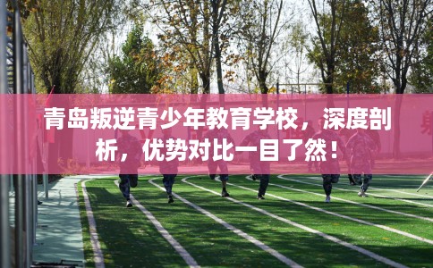 青岛叛逆青少年教育学校，深度剖析，优势对比一目了然！