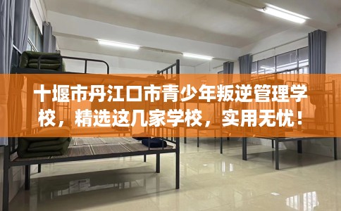十堰市丹江口市青少年叛逆管理学校，精选这几家学校，实用无忧！