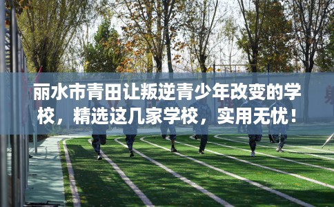 丽水市青田让叛逆青少年改变的学校，精选这几家学校，实用无忧！