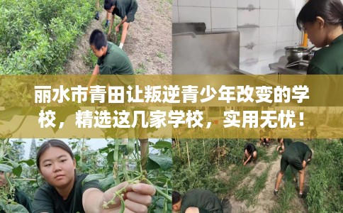 丽水市青田让叛逆青少年改变的学校，精选这几家学校，实用无忧！