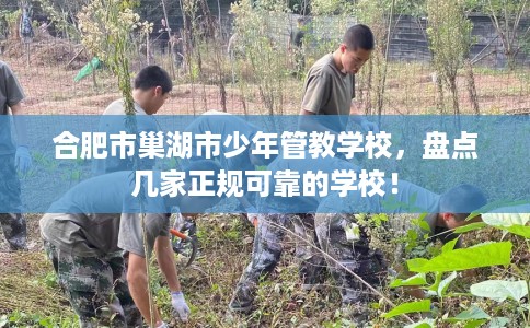 合肥市巢湖市少年管教学校，盘点几家正规可靠的学校！