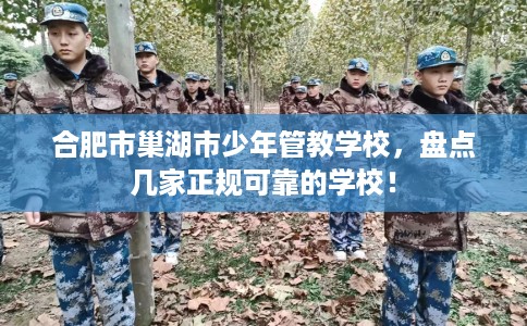合肥市巢湖市少年管教学校，盘点几家正规可靠的学校！