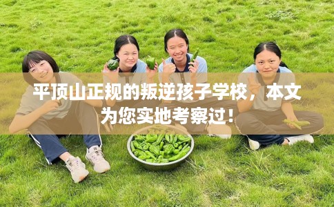平顶山正规的叛逆孩子学校,本文为您实地考察过! 平顶山正规的叛逆孩子学校,本文为您实地考察过!