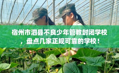 宿州市泗县不良少年管教封闭学校，盘点几家正规可靠的学校！