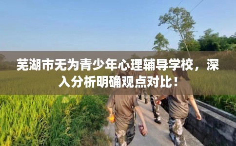 芜湖市无为青少年心理辅导学校,深入分析明确观点对比! 芜湖市无为青少年心理辅导学校,深入分析明确观点对比!