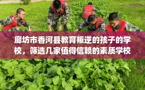 廊坊市香河县教育叛逆的孩子的学校，筛选几家值得信赖的素质学校！