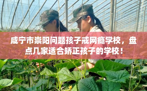 咸宁市崇阳问题孩子戒网瘾学校，盘点几家适合矫正孩子的学校！
