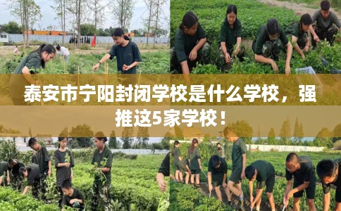 泰安市宁阳封闭学校是什么学校，强推这5家学校！